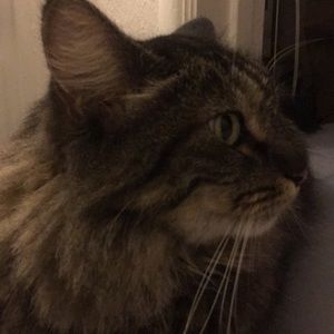 Meet your Posher, Denise